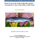 2016-2019 Report_Brook Trout in the Walla Walla River Basin - Assessing the Conservation Risks to Bull Trout