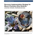 Mount Charleston blue butterfly Recovery Implementation Strategy