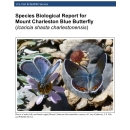 Mount Charleston blue butterfly Species Report