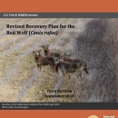 Revised Recovery Plan for Red Wolf