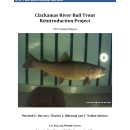 Clackamas River Bull Trout Reintroduction Project 2022 Annual Report