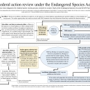 Federal action review under the Endangered Species Act
