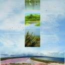 Variety of Ecosystems at the Cabo Rojo Salt Flats (Eng/Spa)