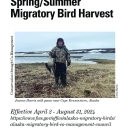 Regulations for the 2024 Alaska Subsistence Spring/Summer Migratory Bird Harvest
