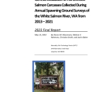 Genetic Evaluation of Fall Chinook Salmon Carcasses Collected During Annual Spawning Ground Surveys of the White Salmon River, WA from 2013–2021