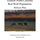 Eastern North Carolina Red Wolf Population: Release Plan 2024-2025