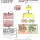 Western Snowy Plover Carcass Disposition Guidance and Notes