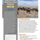 Supporting Drought Adaptation on Rangelands Handout