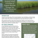 Sea Level Rise and Soil Carbon in Coastal Marshes Handout