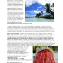 Palmyra Atoll NWR rainforest realignment job opportunity - Mid-September 2025 - early February 2026