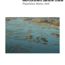 Coordinated Spring Survey Of Mid-Continent Sandhill Cranes 2025