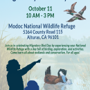 Migratory Bird Day at Modoc NWR 2025 Flyer