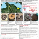 UXO Fact Sheet 2025