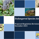 Endangered Species Act Proposed Regulation Revisions Presentation
