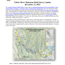 Trinity River Salmon Spawning Survey Update - December 12, 2025