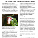 Puerto Rican Parrot Recovery Program 
