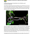 Conservation Measures for the Virgin Islands tree boa 