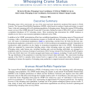 Whooping Crane Status: 2024 Breeding Season to 2025 Spring Migration