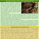 The Wildlife Crossing Volume 9