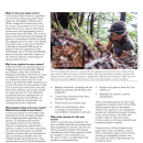 Five-Year Status Reviews under the Endangered Species Act