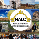 2026 Spring Tribal Coordination Meeting - NALC CFWO Presentation