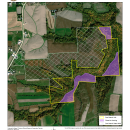 Driftless Area Cow Branch Unit
