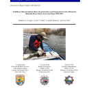 Fall-Run Chinook Salmon Run Characteristics and Escapement in the Mainstem Klamath River below Iron Gate Dam, 2020-2023