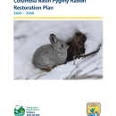 Pygmy Rabbit Restoration Plan 2026