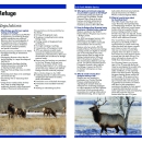 2021 Elk Hunt Regulations