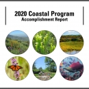 Annual Accomplishment Report (508-compliant - reduced) - 2021-07-07