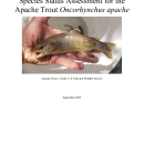 Apache Trout Species Status Assessment_2022.pdf