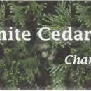 Atlantic White Cedar Initiative