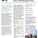 National Elk Refuge Bison and Elk Management Plan Fact Sheet