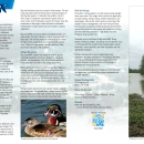  Big Lake NWR - General Brochure