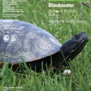 Blackwater NWR Reptiles and Amphibians Brochure