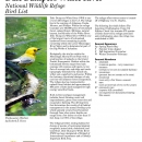 Bird List white-river-national-wildlife-refuge