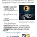 Bird-conscious Lighting for Vessels & Offshore Structures Informative Guide (Printable).pdf