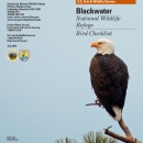 Blackwater_Bird_Checklist_2015
