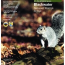 Blackwater_general_brochure_2019