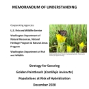 Golden Paintbrush Hybridization Memorandum of Understanding