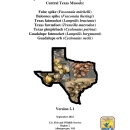 CTX SSA report v2.1_Final.pdf