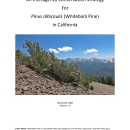 Whitebark Pine Conservation Strategy in California