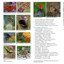 Carolina Sandhills Butterfly and Dragonfly Brochure
