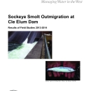 Sockeye Smolt Outmigration at Cle Elum Dam: Results of Field Studies 2013-2014