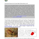 Conservation Measures for the Puerto Rican rock frog.pdf