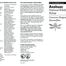 Anahuac Dragonfly Damselfly Checklist