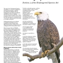 Delisting a Species - Section 4 of the Endangered Species Act