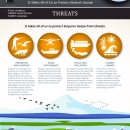 Graphic depicting threats to emperor geese during their life cycle.