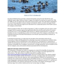 Executive Summary FWS Sea Otter Feasibility Study 2022