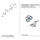 Exploring the Senses - RNWR.pdf